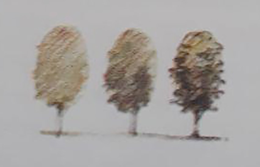 اصول طراحی گرافیک (رنگ)